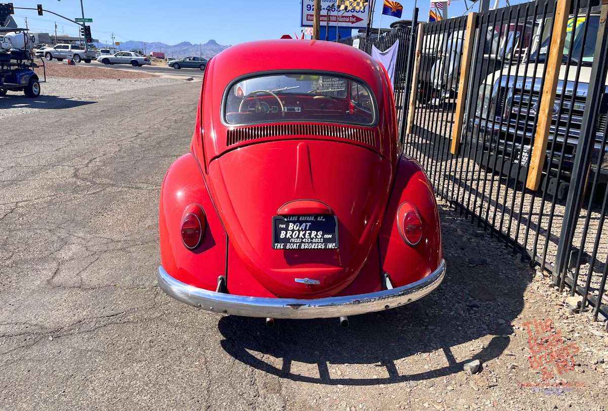 1964 Volkswagon BEETLE photo 6