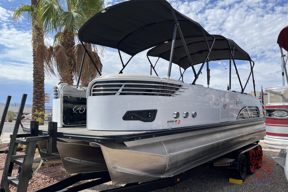 2019 Avalon AMBASSADOR 2785RJ photo 3